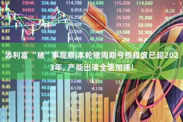 添利富 “猪”事观察|本轮猪周期亏损程度已超2023年, 产能出清全面加速!